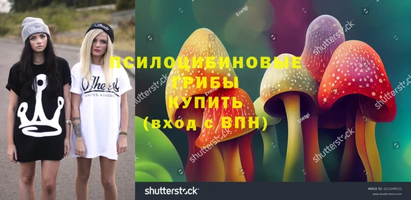 а пвп мука Богданович